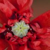 CRW_7673